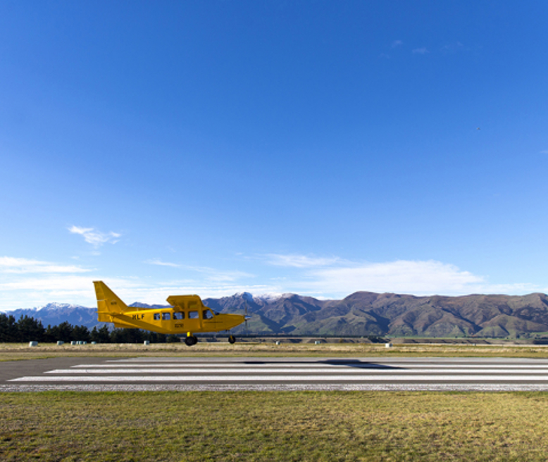 tigermoth-landing